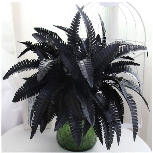 Artificial Black Persian Fern Leaf Plant, 4 Packs