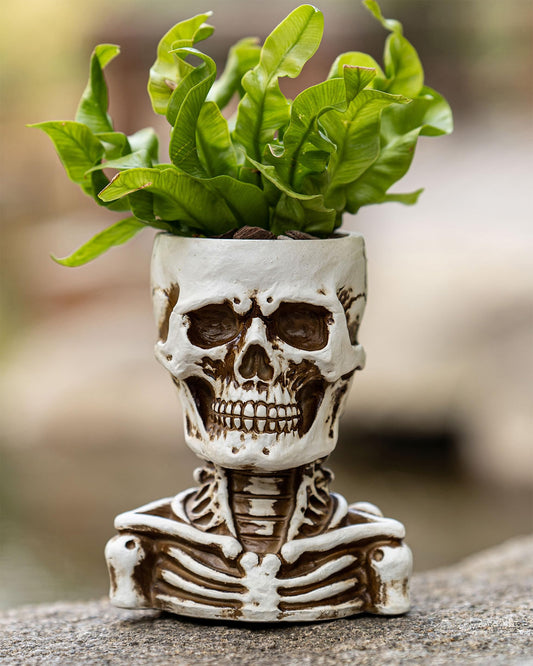 COMODID Unique Skull Decor,Skeleton Planter Spooky Face Flower Pot with Drainage Hole,Resin Skull Head Planter for Succulents, Indoor Outdoor Gothic Halloween Home Decor, Gift for Plant Lovers（White）