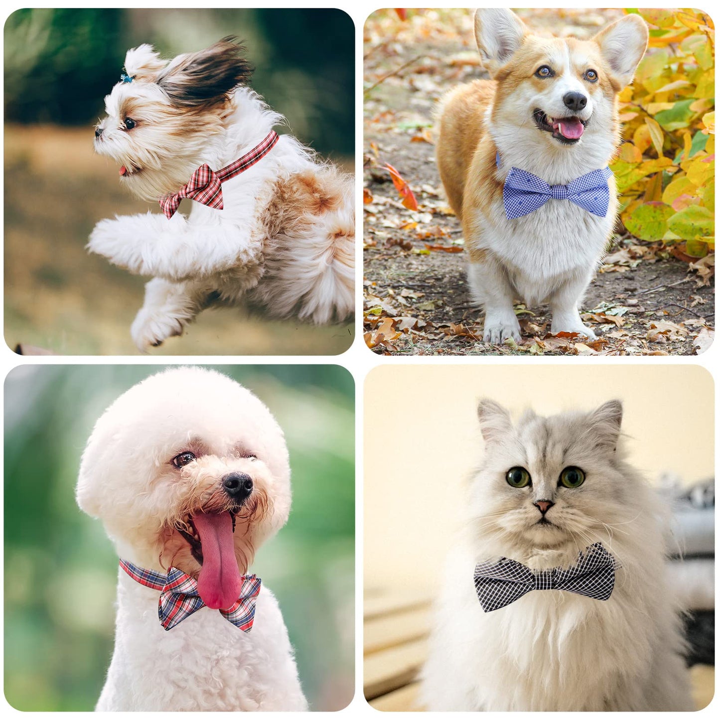 Segarty Puppy Bow Ties, 10 PCS Dog Bowtie Collar Bulk Holiday Cat Collar Grooming Bows for Pet Photography Festival Party Neck Wear Gift, Cute and Plaid Patterned