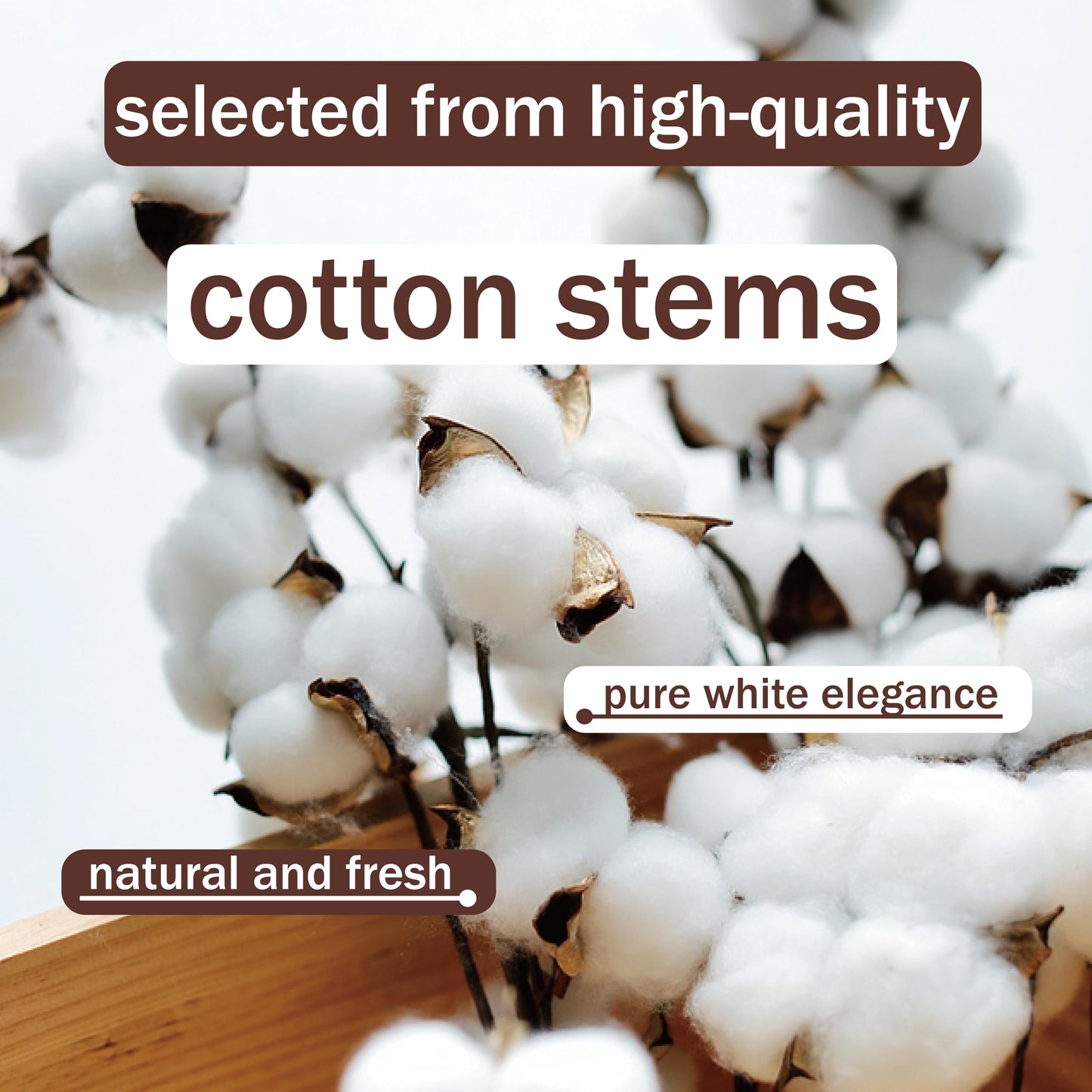 10 Packs Natural Dried Cotton Stems - 15 Inch Real Cotton Flowers with 20 Bolls, Rustic Farmhouse Decor Branches Bundle for DIY Vase Fillers and Wedding Centerpiece, Christmas, Halloween