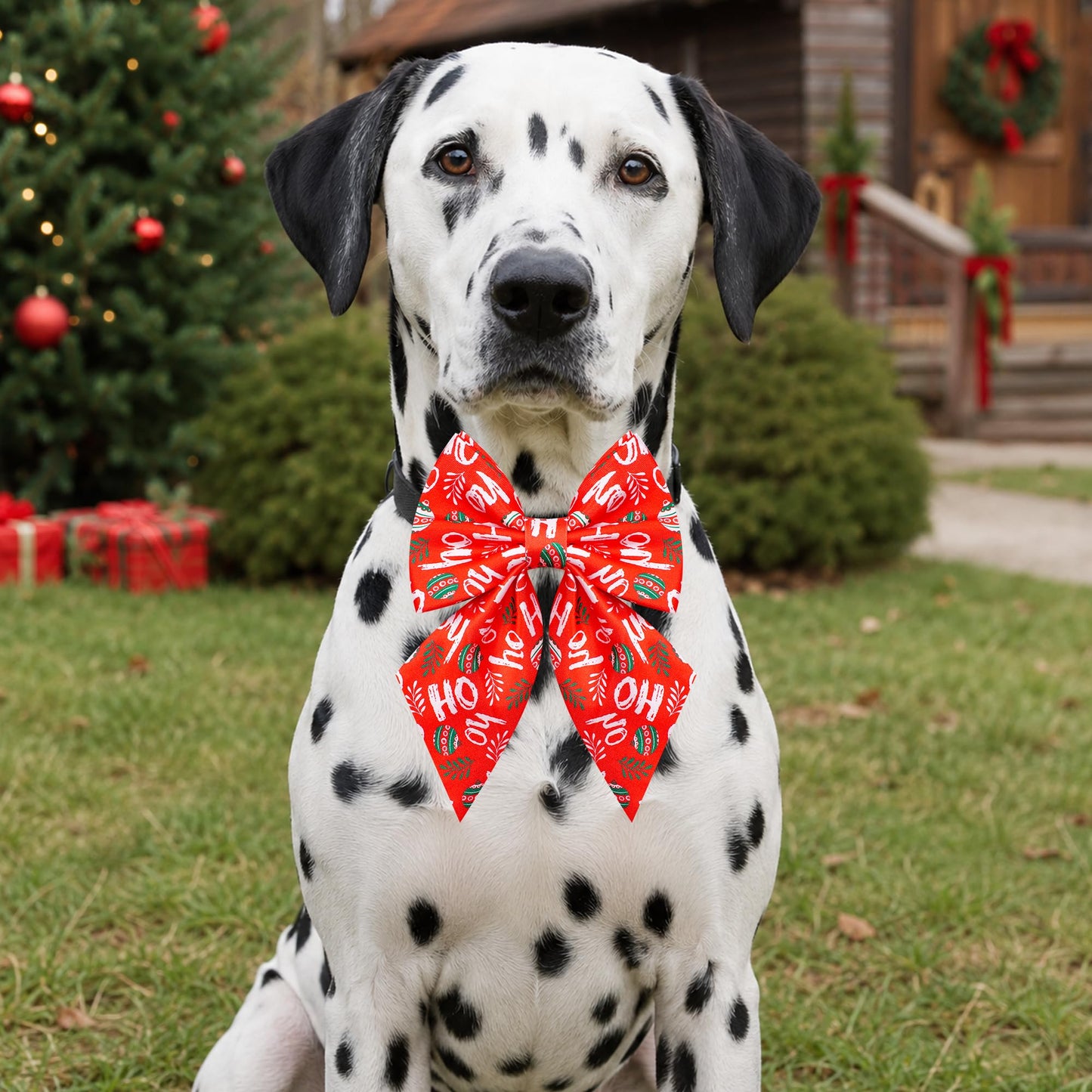 PET SHOW 10 Pack Holiday Sailor Dog Bowties for Large Dogs