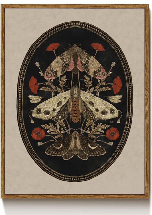 Maksoze Floating Framed Moody Gothic Vintage Canvas Wall Art, Dark Moth Butterfly Poppy Flower Insect Antique Poster Print, Retro Wall Decor Artwork for Living Room Gallery Home Decoration
