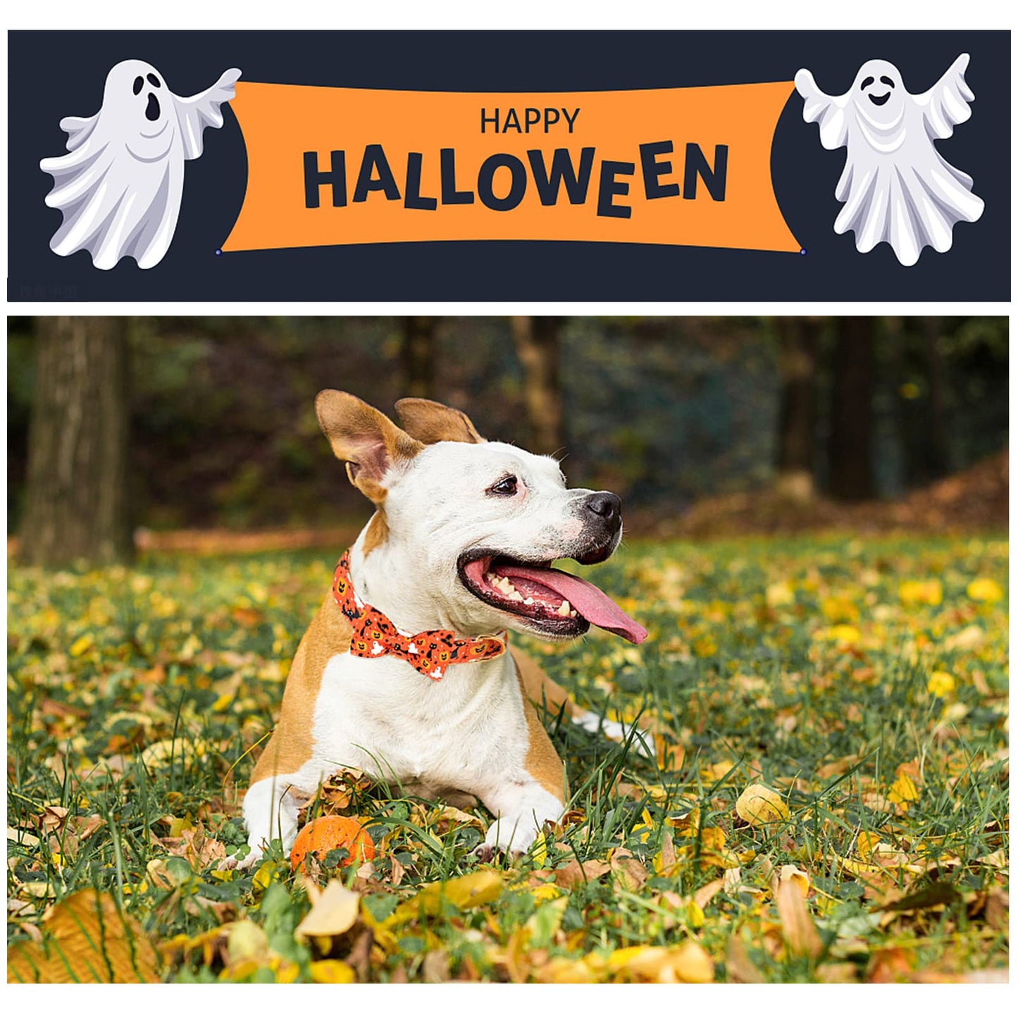 Unique style paws Halloween Dog Collar with Bow Tie Cotton Adjustable Puppy Collar for Small Medium Large Dogs-S