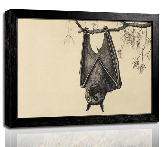 Framed Vintage Bat Sketch Wall Art, Gothic Halloween Bats Canvas Print Poster, Dark Academia Decor for Living Room Bedroom, Animal Aesthetic Home Decoration,
