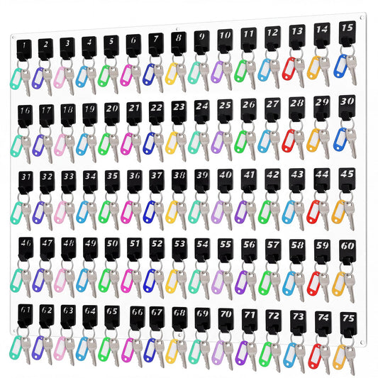 Beeveer Acrylic Key Board with 75 No. Hooks Wall Mount Key Rack Holder Hanger Storage Collection for School, Garage, Car Dealer, Office, Hotel, Real Estate(Transparent)
