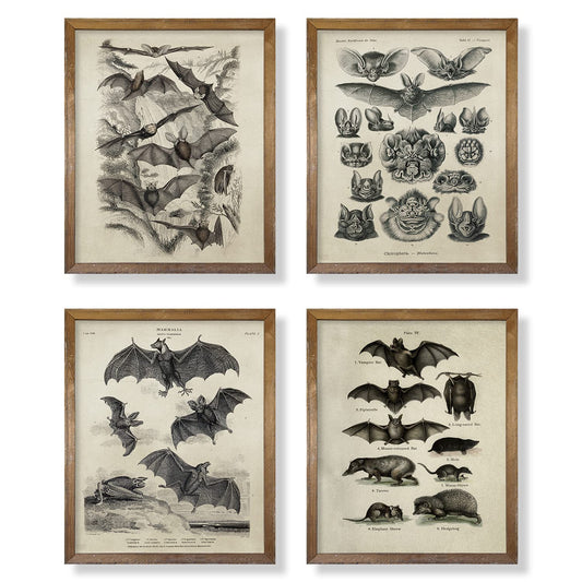 Bat Wall Decor - Creepy Gothic Wall Art - 8x10 Unframed Goth Decor - Gifts for Vampire Horror Fans - Bat Pictures Prints Posters for Room Decor - Pagan Gifts - Vintage Retro Photo - Whimsigoth Witch