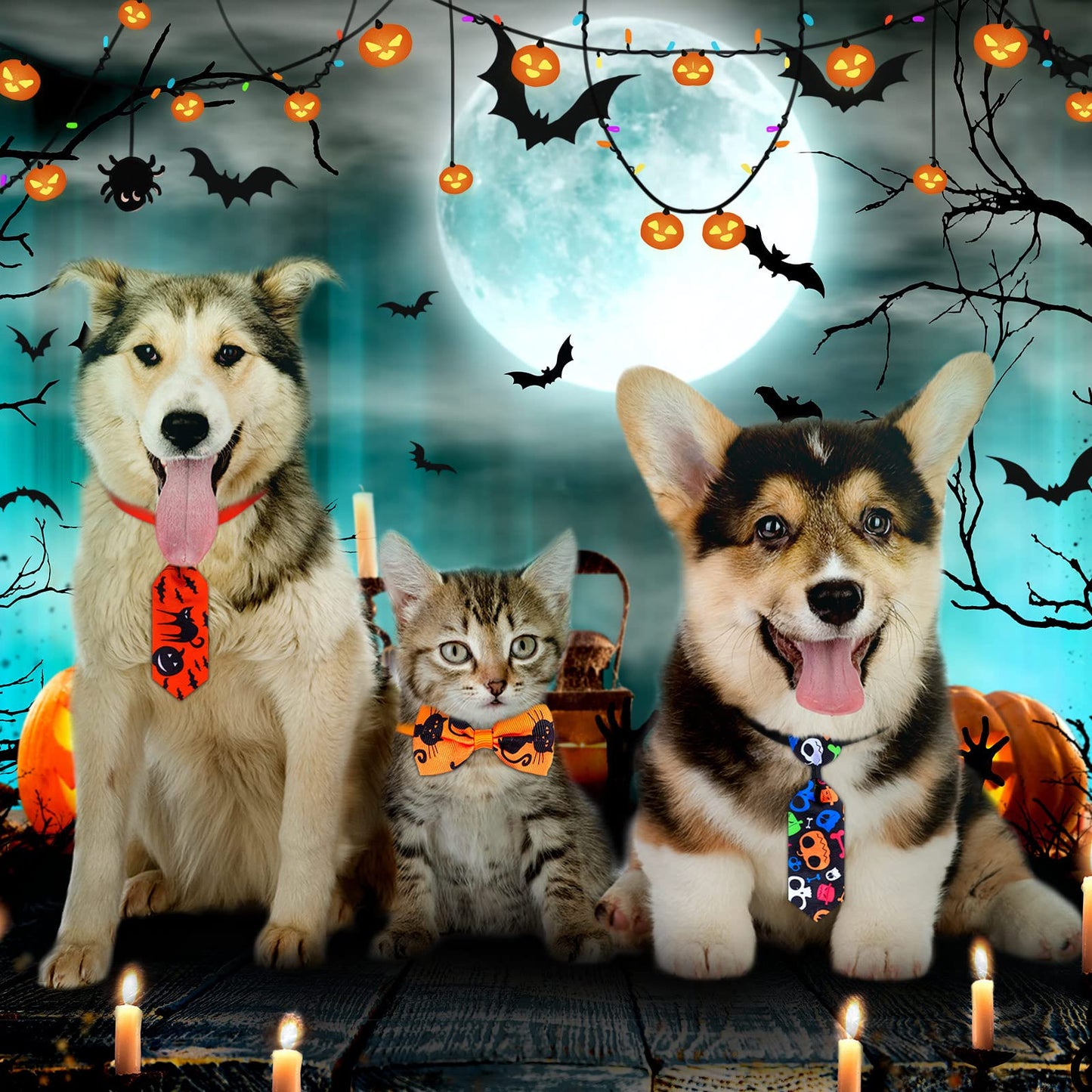 Eccliy 80 Pcs Halloween Dog Bow Ties 40 Dog Bow Ties 40 Pet Neckties Pumpkin Bat Witch Ghost Adjustable Collar Pet Accessories for Cat Halloween Holiday Decoration