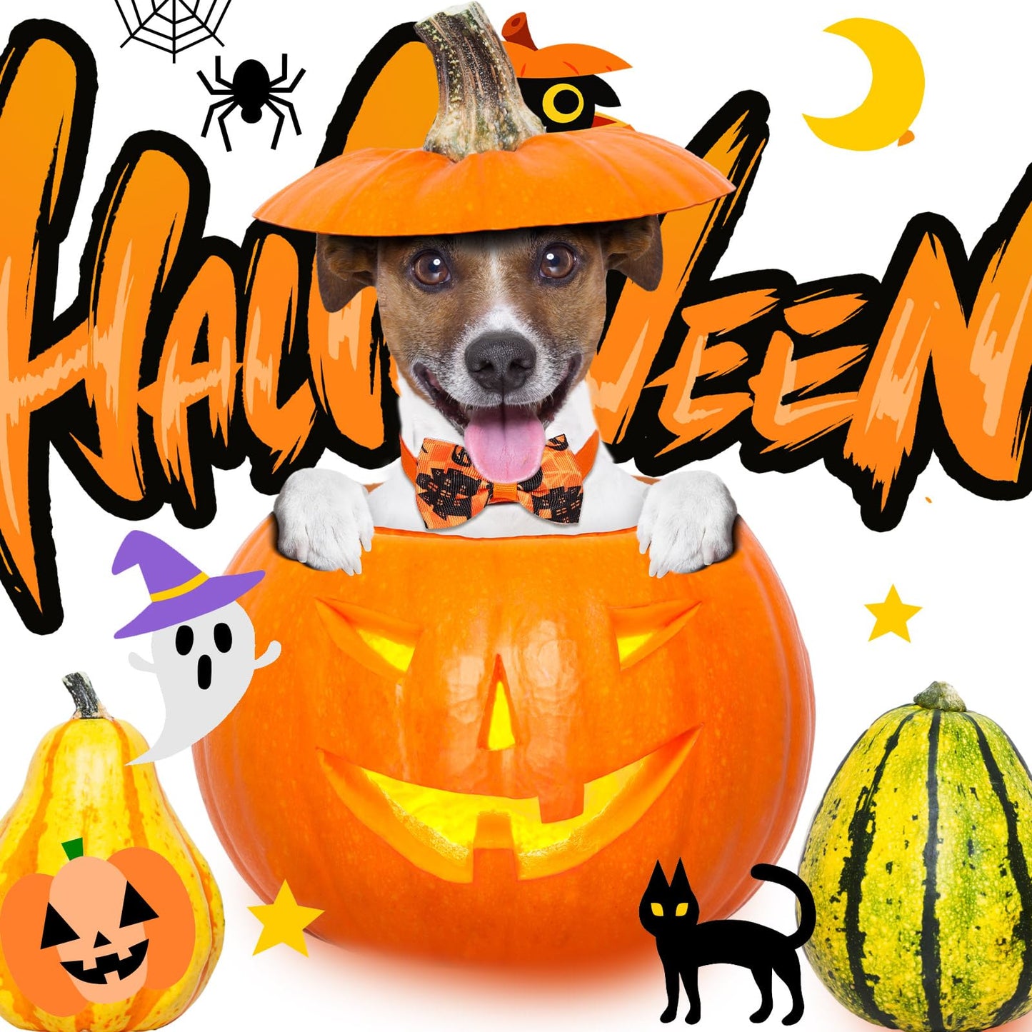 120 Pcs Halloween Dog Bow Tie Collar Set Includes 60 Pumpkin Dog Grooming Bowtie Bow Ties Pet Neckties Collar Holiday Accessories for Cat Doggy