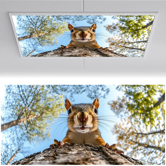 Fluorescent Light Covers for Ceiling Lights-Magnetic,2pcs,Geometric & Stained Glass Designs for Ceiling Lights 2ft x 4ft-For Classroom, Office，Home (Forest Squirrel, 48"L x 24"W-2pcs)