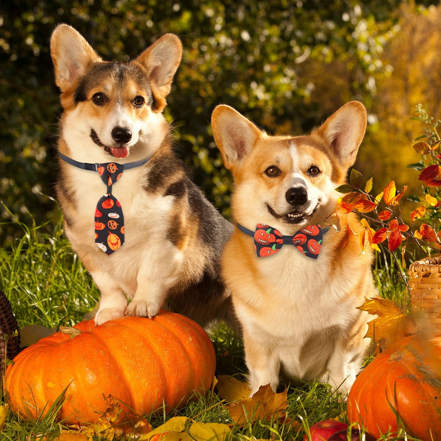 Reginary 100 Pieces Thanksgiving Dog Bow Tie Collar Set with 50 Bow Tie and 50 Necktie Thanksgiving Fall Halloween Themed Pet Decoration for Small Medium Pet Cat Supply