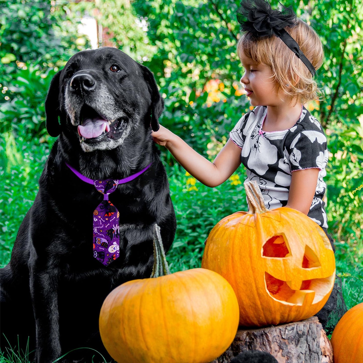 Sadnyy 60 Pcs Dog Bows Dog Collars Thanksgiving Halloween Pet Ties Pumpkin Ghost Adjustable Halloween Pet Bowtie Collar Includes 24 Neck Ties and 24 Bowties 12 Bowknot Set