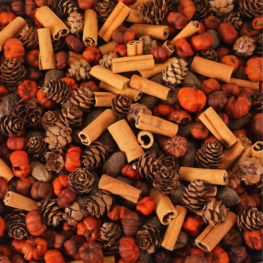 Dansib 7 Heaping Cups Pumpkin Pods, Bowl, or Vase Filler Mix with Mini Pumpkin Pods, Pine Cones, Cinnamon Chunks and Rose Hips, for Vase, Jar Fillers, Thanksgiving and Autumn Decor