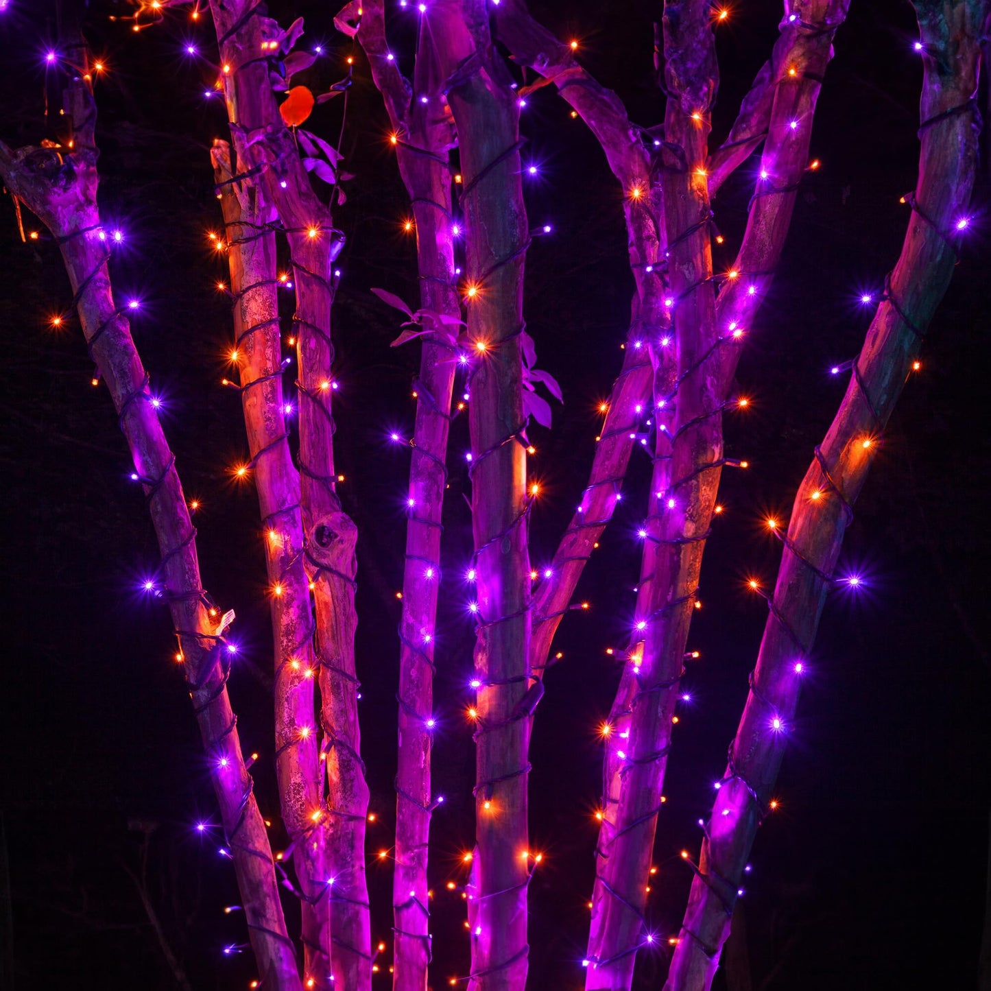 TW SHINE 2 Pack Solar Halloween Lights Decorations Outdoor, Total 400LED 132FT Solar Powered Outdoor Halloween Light with 8 Modes, Waterproof Halloween Decor for Home Tree Party Yard (Purple & Orange)