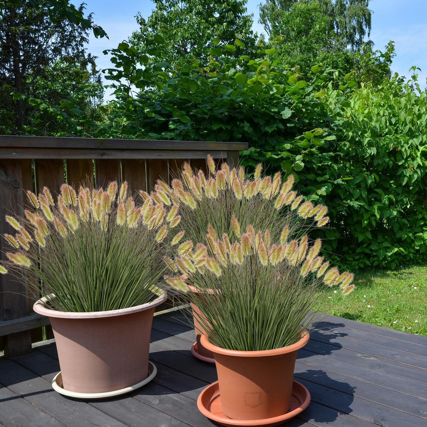 Ttranewsoo Artificial Grass, Fake Grass, Artificial Shrubs, Wheatgrass Cattails Fake Grass Decorations, Artificial Plants, Ornamental Grass, Outdoor Fake Grass, Green Leafy Decorations (12PCS)