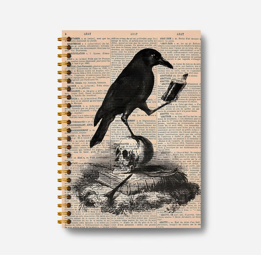 Guymn Gothic Skull Raven Notebook - Goth Journal, Cool Notebook Journal, Witchy Journal Notebook, Witch Stuff, Gothic Office Supplies, Halloween Notebook, Spiral Notebook 5.5x8.3