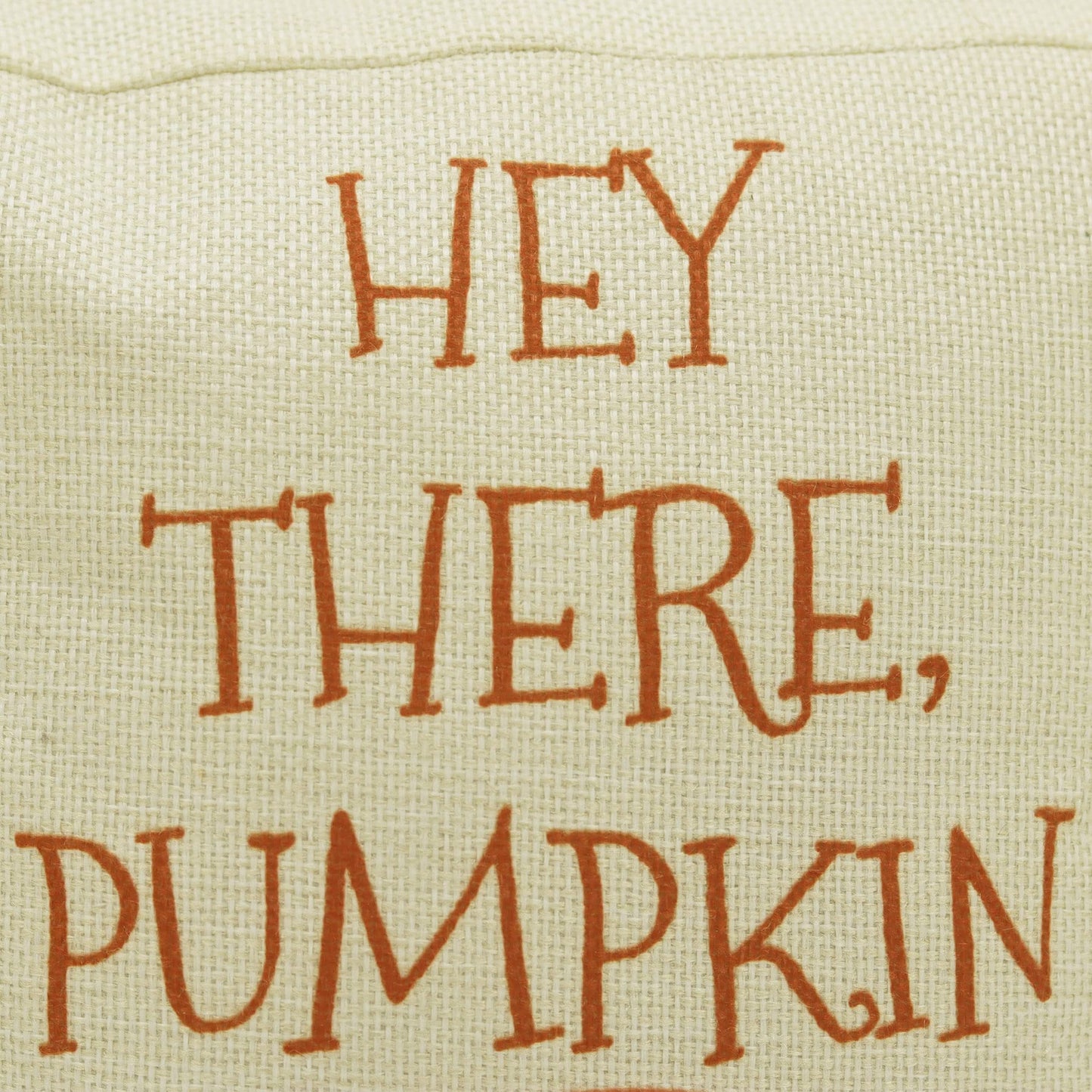 Weighted Door Stop Fabric Home Decor with Handle for Door Holder|Hey There Pumpkin Fall Decor Door Stopper,5" by 9"