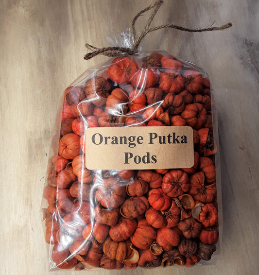 On The Bright Side Mini Orange Putka Pods (Pumpkin Pods) for Potpourri and Bowl Fillers 4 Heaping Cups