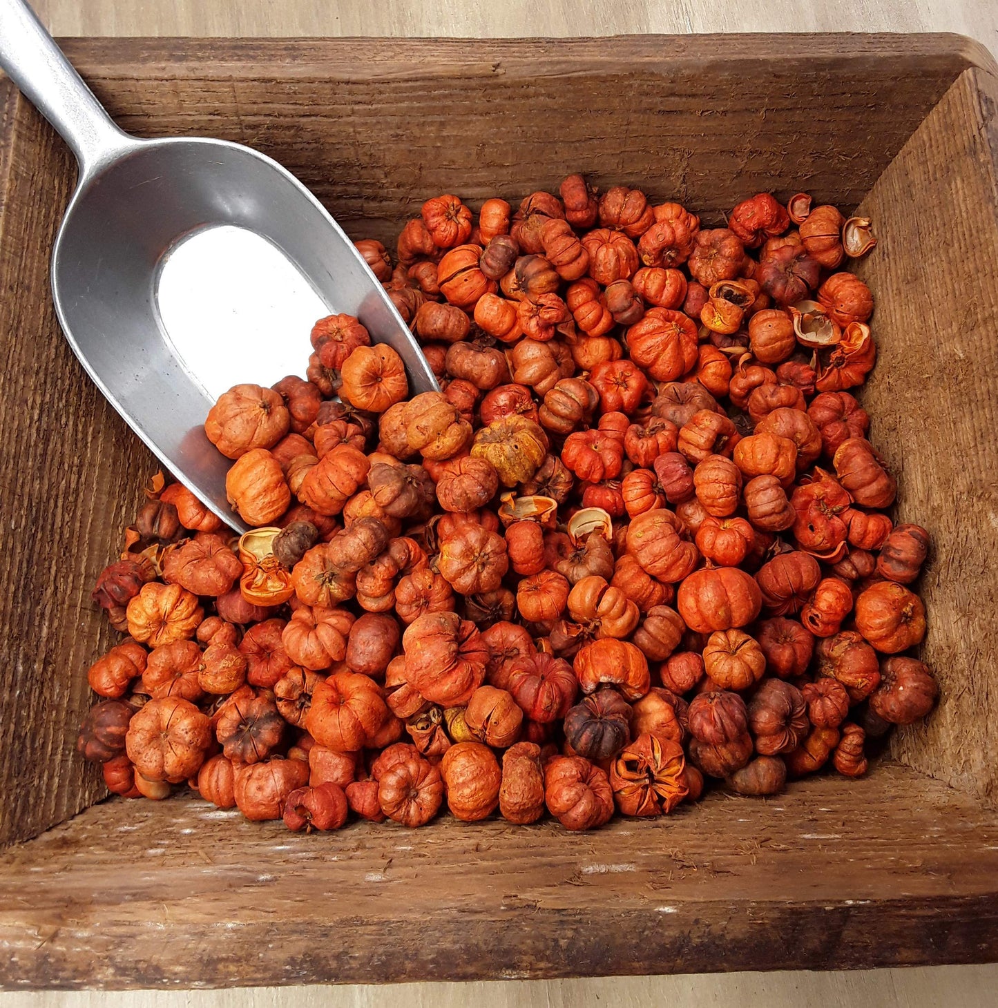 On The Bright Side Mini Orange Putka Pods (Pumpkin Pods) for Potpourri and Bowl Fillers 4 Heaping Cups